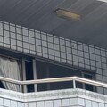 影/疑不滿被逼找工作！台南啃老男刺死父自首：我殺了爸爸