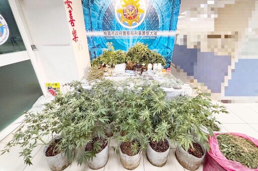 桃園警跨轄新北破1.6億大麻案!驚見毒販搞「有雞栽培」