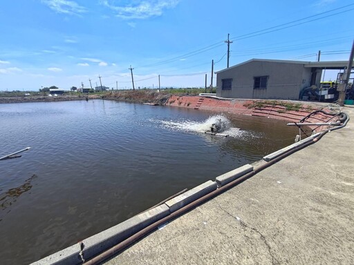 魂斷端午!高雄7旬翁巡魚塭落水「送醫不治」 女兒淚崩