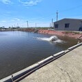 魂斷端午！高雄7旬翁巡魚塭落水「送醫不治」 女兒淚崩