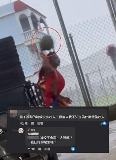 影/好心供場地休息!屏東官將首疑遭咬 拿東西狂丟狗