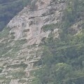 炸山意外！花蓮礦場石塊噴砸民宅 亞泥：人為疏失將賠償