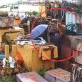 影/八里工地頻遭竊警即時監控 泰籍賊再光顧遭活逮
