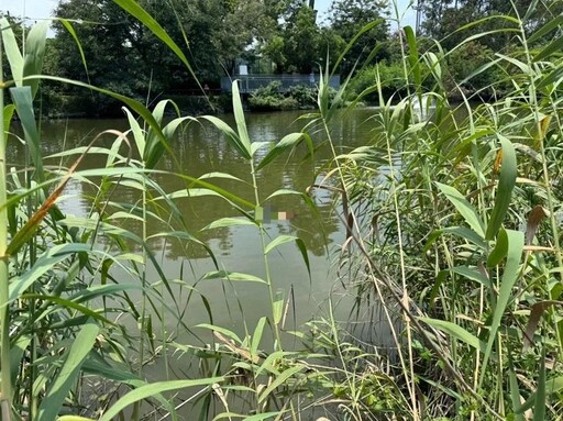 24天2人送命慘變「身亡熱點」!台南巴克禮公園又有浮屍