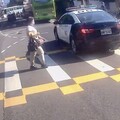 影/警車未禮讓行人畫面遭PO網 南港分局：依法開罰