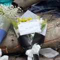 逢甲榕樹壓死23歲碩士男 同學擺鮮花哀悼：一路好走