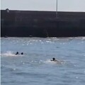 枋寮7學生溺水 2海陸「黑衣部隊」海游300公尺救5人