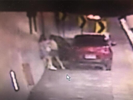 影/手機遭丟出車外!雪隧母女停車互毆打 女兒聲請保護令
