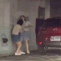 影/雪隧「母女避車彎互毆」最新！衝突竟因「藍芽」