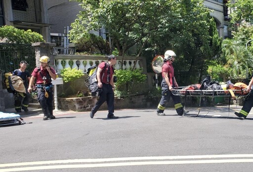 北市工人捕蜂卡樹上 無呼吸心跳送醫搶救