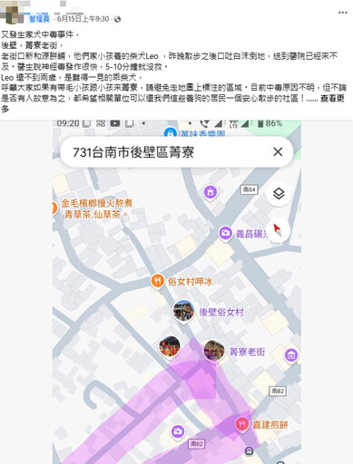 菁寮老街又爆毒狗!柴犬散步倒地吐白沫 10分鐘內沒命