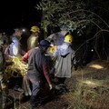 影/27人急救援！雪霸黑熊受困套索 左前掌壞死需手術