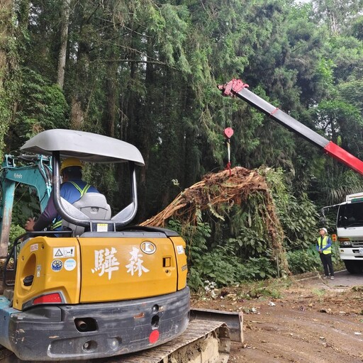 影/南投驚傳路樹倒塌砸中遊覽車!玻璃碎裂割傷4人