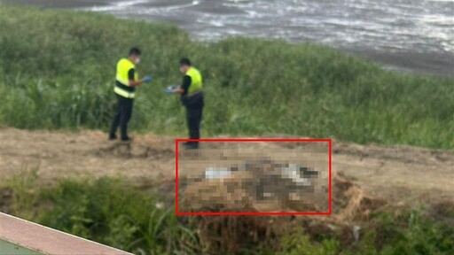 新北五股濕地驚見男屍! 移工抓螃蟹驚見遺體嚇壞報警