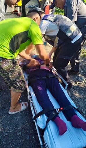 影/高雄塔拉拉魯芙隧道「虎頭蜂圍攻89歲嬤」 送醫搶救