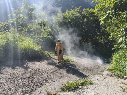 影/高雄塔拉拉魯芙隧道「虎頭蜂圍攻89歲嬤」 送醫搶救