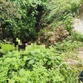 台中詭異焦屍案！身亡河邊的他竟疑似「先摔死」