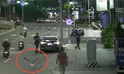 影/高雄69歲翁遛鵝「展翅穿越車流」!驚悚畫面曝光