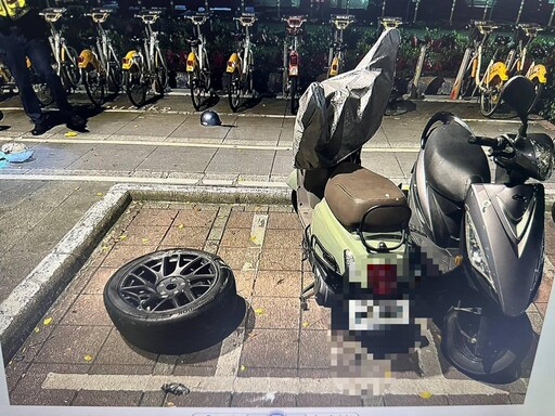 影/北市情侶吵架!「3輪特斯拉」撞象山 他爬樹受困14小時