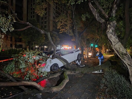 北市信義區運將抽菸遭賓士高速撞死 肇事者是「車主朋友」