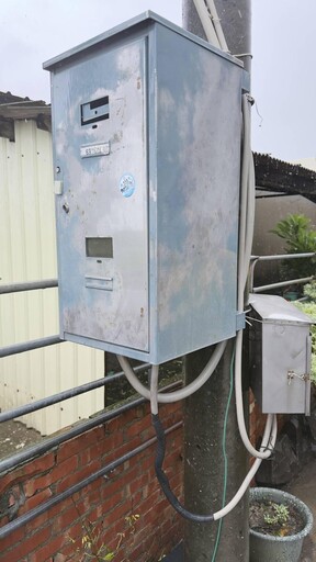 影/嘉義勘查遇漏電! 官員直擊百頭豬遭電死「七孔爆血」