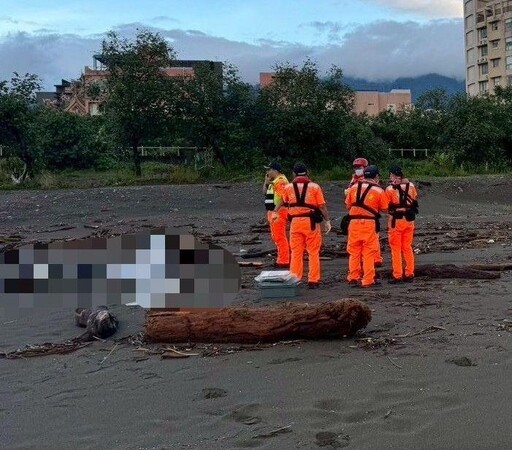 影/宜蘭75歲嬤撿蝸牛消失一夜 海灘找到人成冰冷遺體