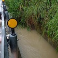 整整漂30公里！旗山台29線墜溝女 高屏溪出海口成裸屍