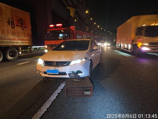 影/國1林口段重大車禍!「5大小車追撞」1運將慘死