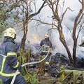 父親節前夕憾事！林口9旬翁葬身墓園「前2天才見兒子」