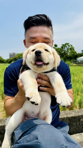 新北警犬生力軍「大福」報到 憨笑萌翻網友:抱緊處理