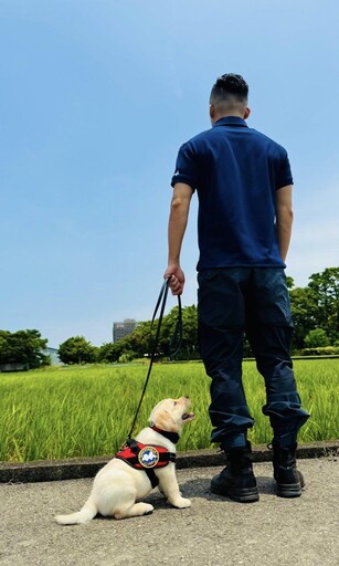 新北警犬生力軍「大福」報到 憨笑萌翻網友:抱緊處理