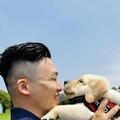 新北警犬生力軍「大福」報到 憨笑萌翻網友：抱緊處理