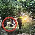 影/新竹西濱驚傳槍擊案！嫌犯遭圍捕落網偵訊中