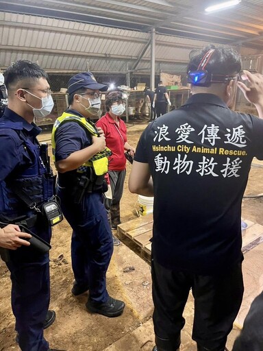 殘忍!新竹犬園斂財餓死狗「白骨遍佈」 10隻慘死籠中飄惡臭