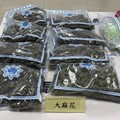 影/國際零食包裹夾藏6百萬毒品 移工情侶檔收貨遭逮
