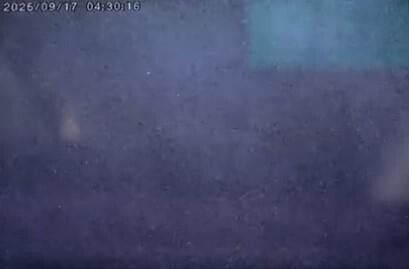 影/拉麵店遭噴「渣男賤女、姦夫淫婦」 闆娘看傻：噴錯？