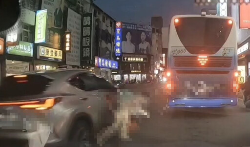 驚悚瞬間！台中婦人紅燈穿越馬路遭休旅車撞倒 將被罰500元