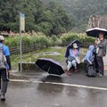 新北雙溪山區驚傳虎頭蜂群攻擊 3登山客遭螫傷送醫
