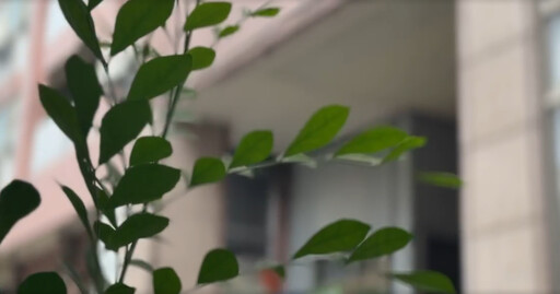 影/單身顧病母！彰化46歲孝女弑親後墜亡 親友嘆：她很孝順