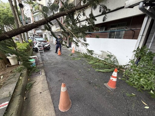 鳳凰陸警發布！北市也有災情了「大樹砸房」
