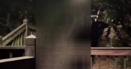 南港公園淪天體營集散地？警加強巡邏：發現裸體依法嚴辦