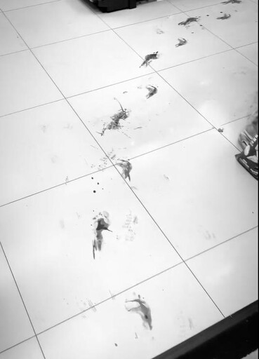 影/桃園女遭割喉「裸衝超商求救」真相泛綠光！兇手是小王