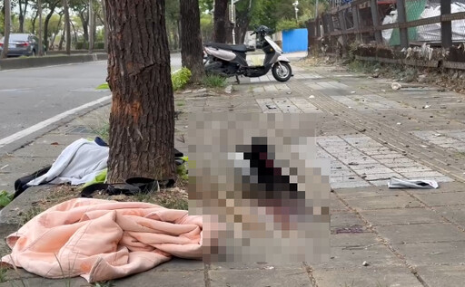 台中霧峰清晨車禍！騎士自摔「撞樹」頭破血流 傷重不治