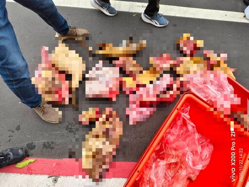 影/2逃逸移工疑賣狗肉! 竹縣動保所查扣43公斤不明肉品