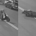 高雄翁剛出門就出事！「連人帶車」躺雙黃線 一度失去呼吸心跳