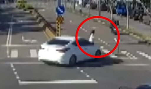 台中女牽狗走斑馬線「遭左轉婦撞飛」 搶救15天母悲痛：隨媽祖修行去了