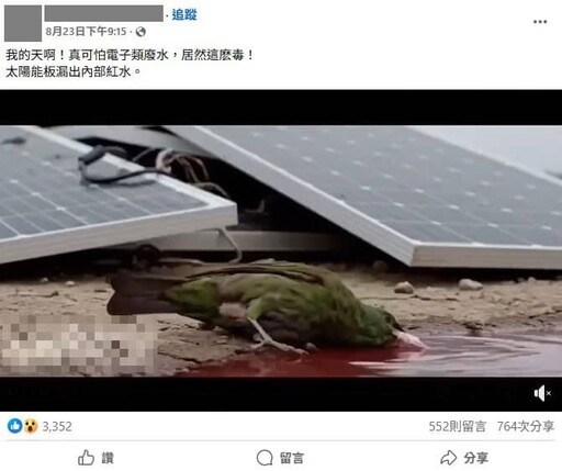 鳥喝「光電板紅水」暴斃？影片瘋傳掀恐慌 真相曝光：假的