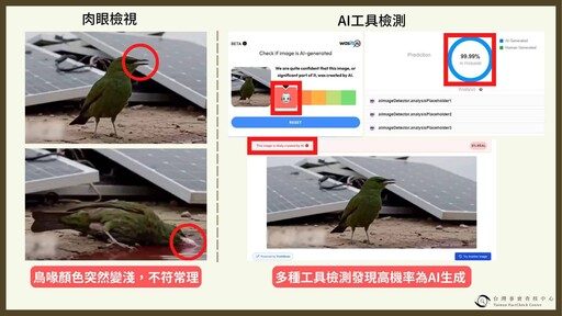 鳥喝「光電板紅水」暴斃？影片瘋傳掀恐慌 真相曝光：假的