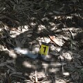 台中恐怖命案！男一週前才被「斷手斷腳」 出院又遭街頭刺死