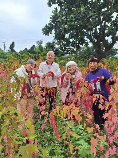 不被疾病打倒 蕭采君用「紅藜」行善公益